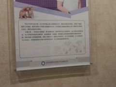 -宠爱国际动物医院· 猫科· 外科·中兽医(长白店)