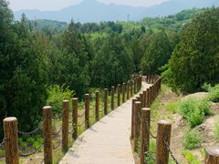 -白水寺森林公园