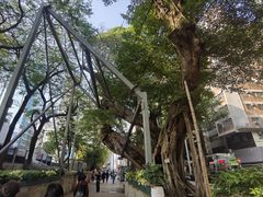 -九龙公园