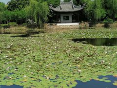 -无锡蠡湖国家湿地公园-蠡园