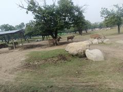 -西安秦岭野生动物园