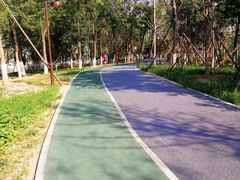 -回龙观体育文化公园