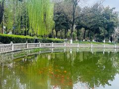 -绵阳人民公园(涪城区)