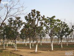 -白塘生态植物园