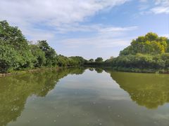 -大湾区中央湿地公园