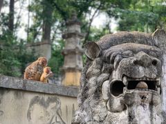 -黔灵山公园