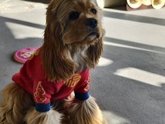 -美家乐农庄·露营·团建(大治路店)