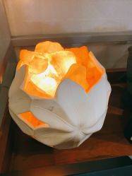 -芳香乐府SPA·五行芳疗