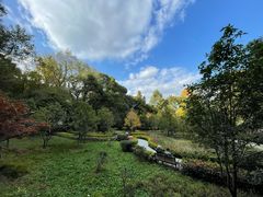 -上海佘山国家森林公园天马山园