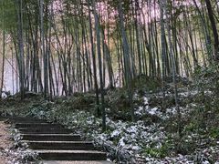 -镇江市南山风景名胜区竹林景区