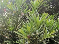 -成都杜甫草堂博物馆
