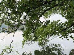 -东湖落雁景区