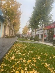 -爱儿美儿童摄影(五路居花园别墅店)