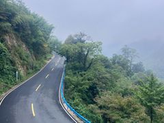 -四明山国家森林公园