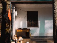 -午潮山国家森林公园