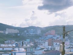 -枸杞岛