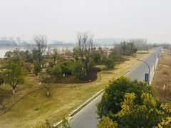 -南京眼步行桥