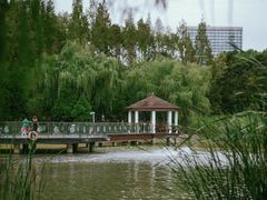 -新虹桥中心花园