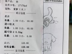 -爱侣宠医·鹦鹉专科·小型哺乳类·异宠专科(灵石路店)