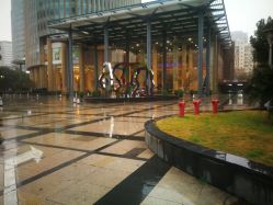 -上海浦东喜来登由由大酒店·宴会厅