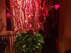 iphone_upload_pic-花马天堂云南餐厅 Lost Heaven(高邮路店)