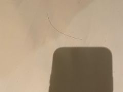 -天津滨海圣光皇冠假日酒店