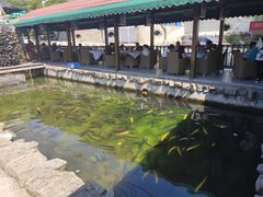 -京北渔家傲