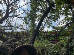 -飘香酒馆·私房菜