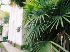 -湖北省美术院美术馆