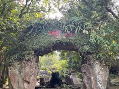 -海口火山口国家地质公园