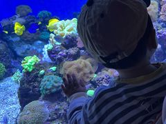 -成都浩海立方海洋公园