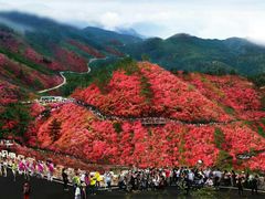 -木兰云雾山