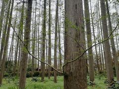 -上海怡沁园度假酒店