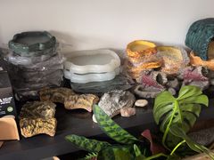 -灵龟之家百象馆(百象馆联合旗舰店)