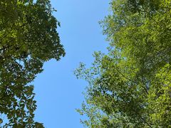 -南丰汇(新港东路店)