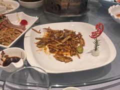 肉丝大拉皮-百姓渔村(平阳路店)