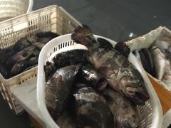 -中国船政文化博物馆