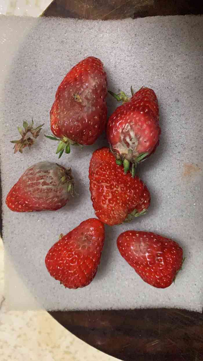 草莓坏掉的样子图片