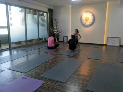 -酉嘉瑜伽YO+YOGA