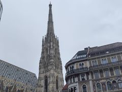 -斯蒂芬主教座堂(Stephansdom)