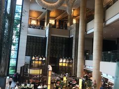 -成都保利公园皇冠假日酒店(熊猫基地店)