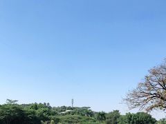 -东莞植物园