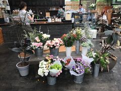 -北马山庄植趣咖啡