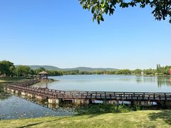 -尚湖风景区