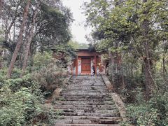 -青龙山国家森林公园