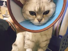 -安安宠医·安宠宠物医院