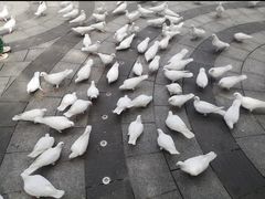 -南宫五洲植物乐园