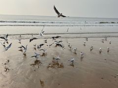 -金梦海湾浴场