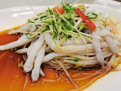 -寻味顺德·南记酒家·传统顺德菜·鱼生(广源路店)