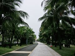 -中澳友谊花园